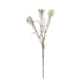 Wax flower cream L 78cm