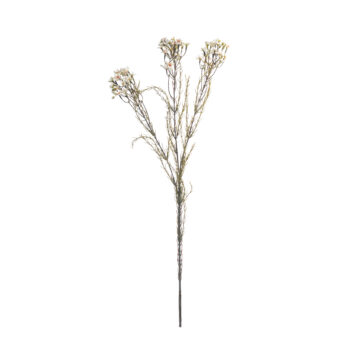 Wax flower cream L 78cm