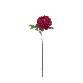 Blooming peony red purple L 61cm