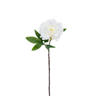 Blooming peony cream L 61cm