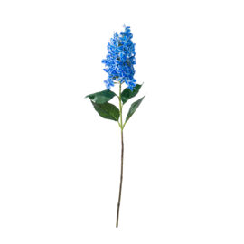 Panicle hydrangea blue L 80cm