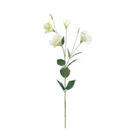 eustoma cream L 88cm