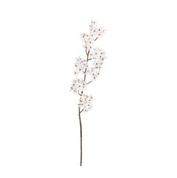 Yoshino cherry blossom white L 103cm