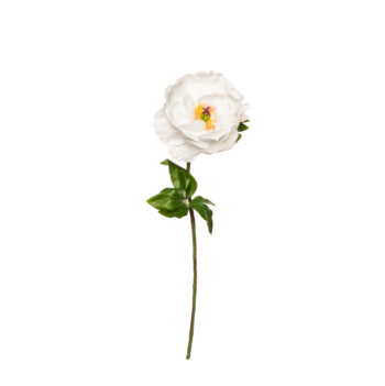 Peony cream pink L 52cm