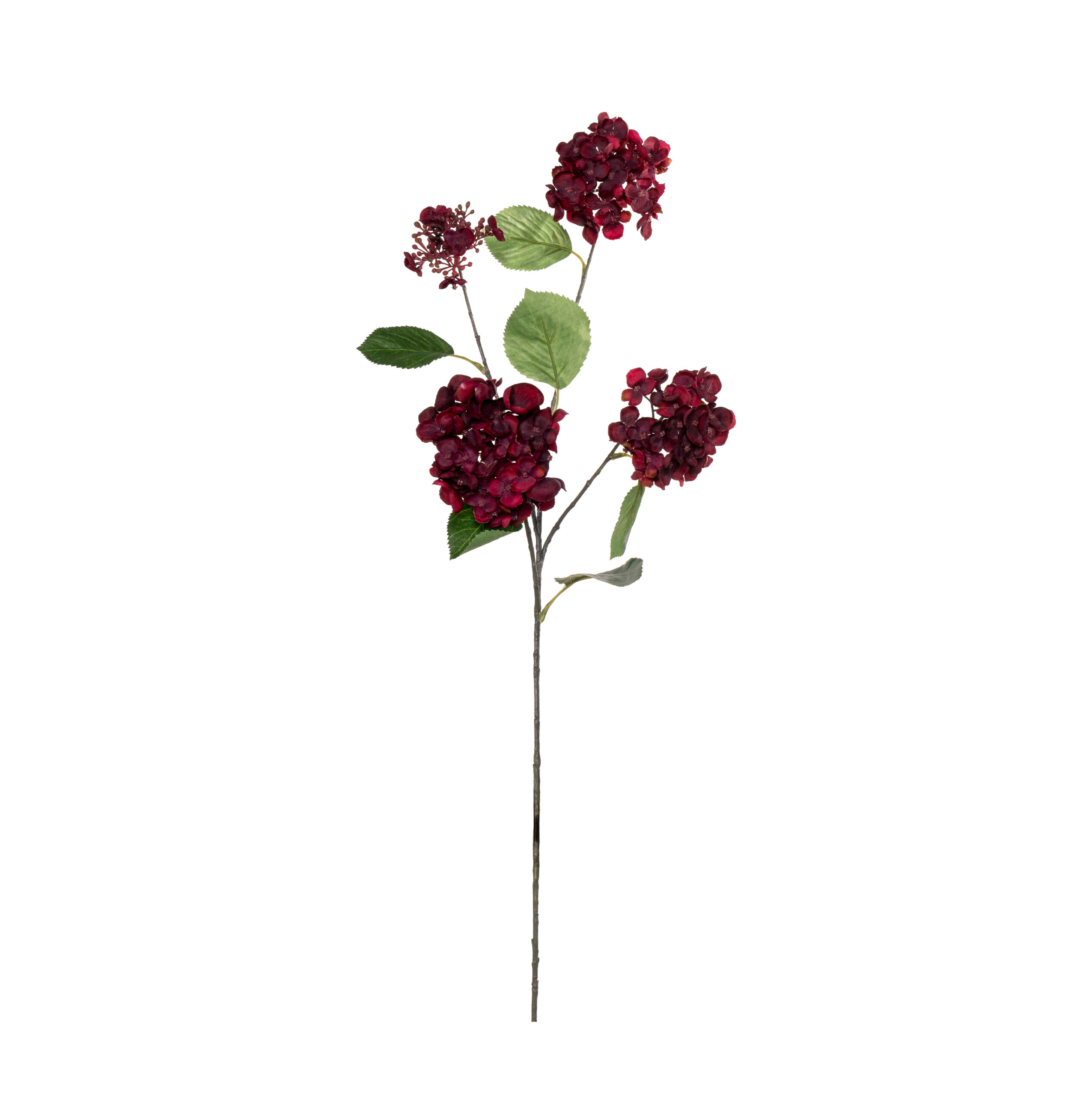 FL1037005BU Pop corn hydrangea burgundy L 80cm