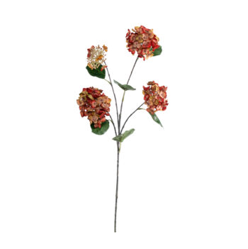 Pop corn hydrangea orange L 80cm