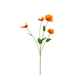 Pansy orange L 67cm