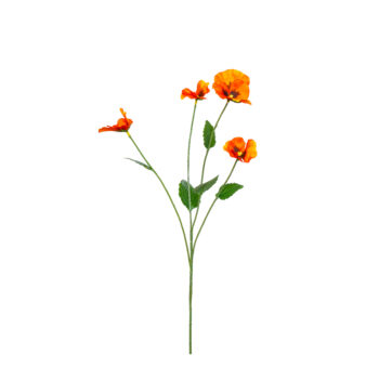 Pansy orange L 67cm