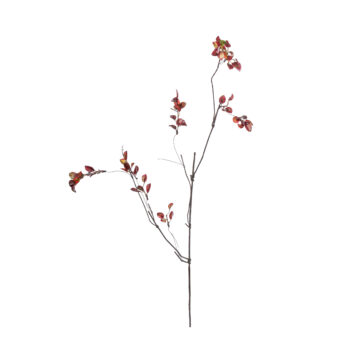 Withered red L 115cm
