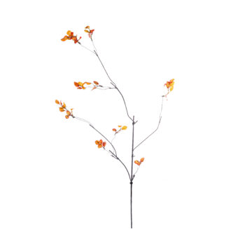 Withered orange L 115cm