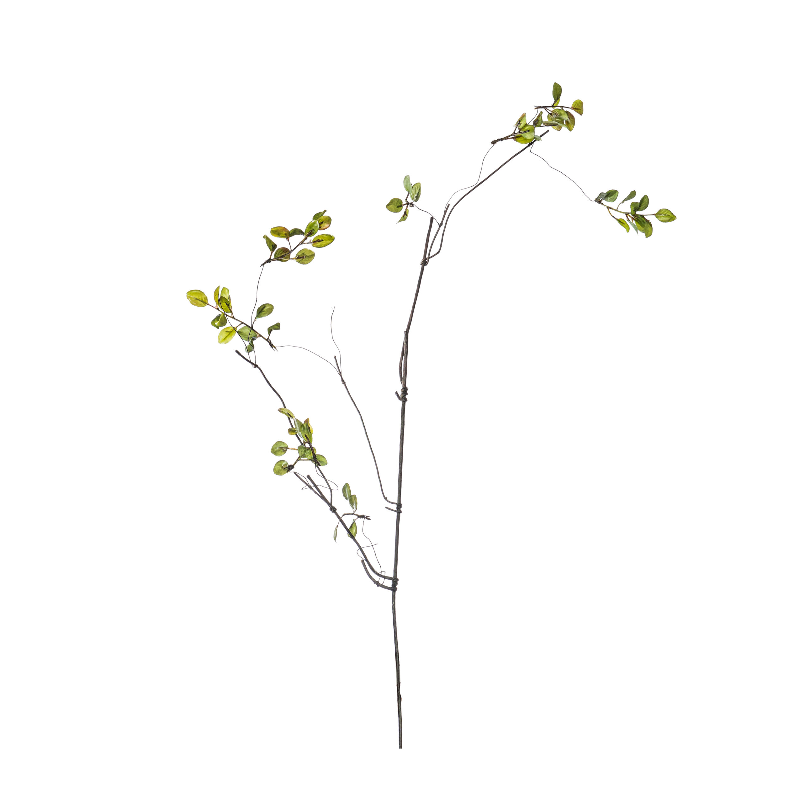 FL1038003 Withered green L 115cm