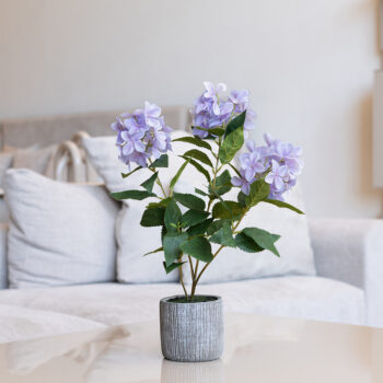 Snowball blue H 46cm