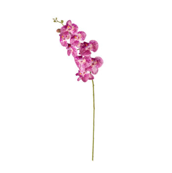 Orchidée Fushia L 84cm