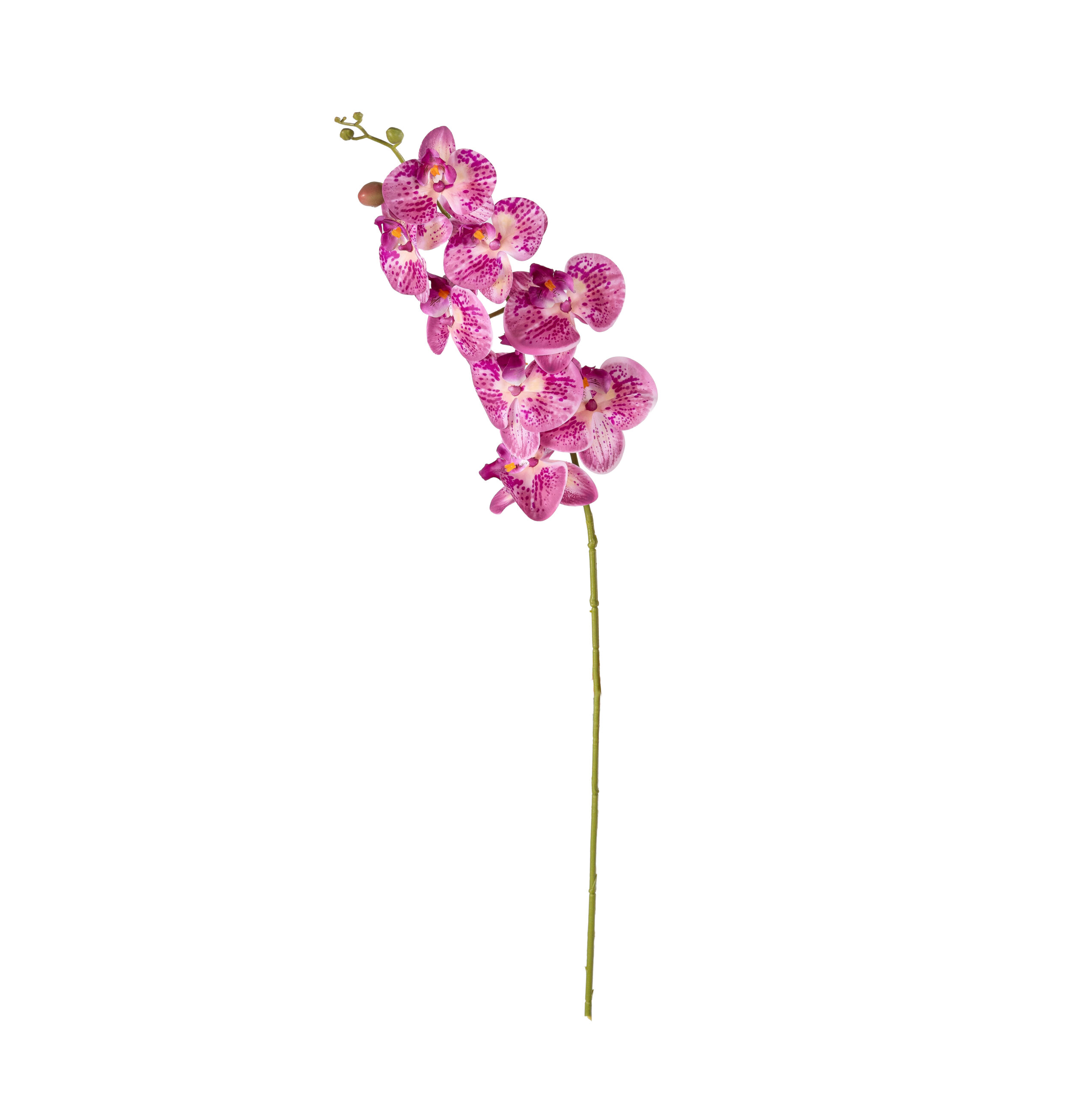 Orchidée Fushia L 84cm Orchidée Fushia L 84cm