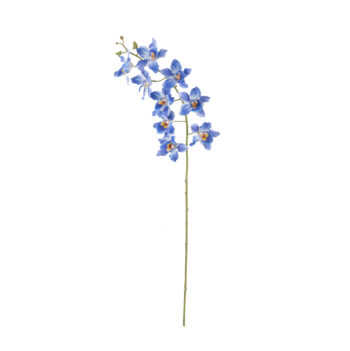 Dendrobium Blue L 94cm