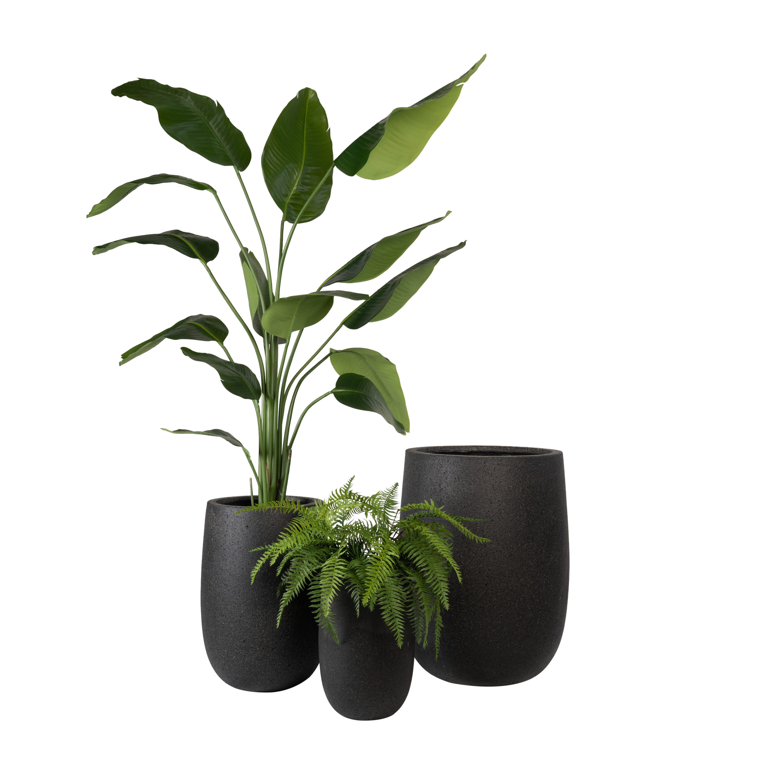 Pot palm sandblasted noir Pot palm sandblasted noir