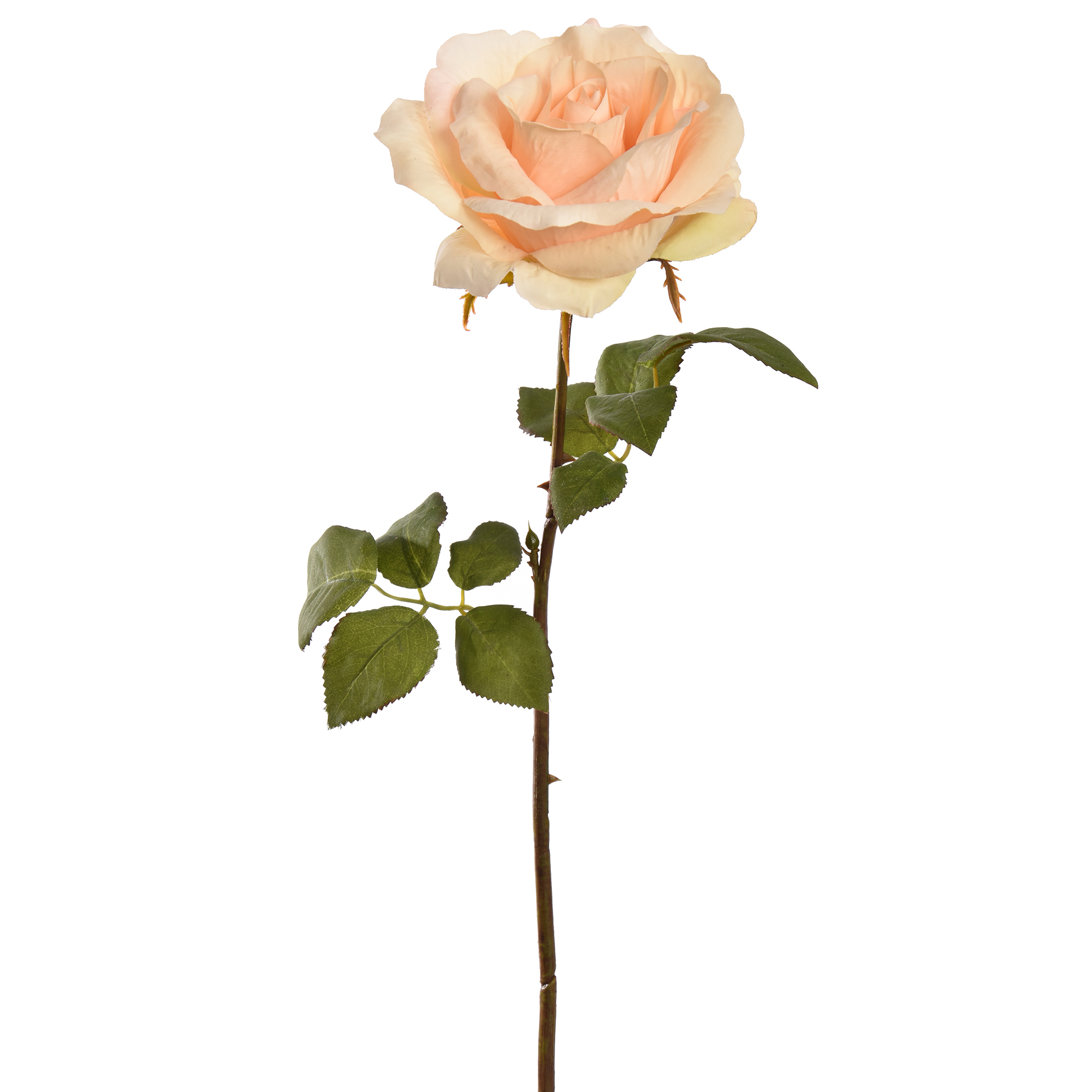 40110020 VA Rose pèche H 53cm