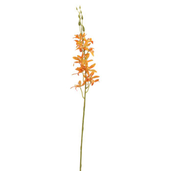 Orchidée orange H 80cm