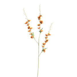Cymbidium orange H 105cm