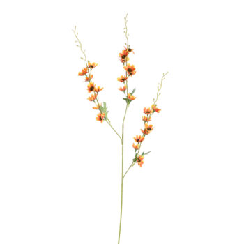 Cymbidium orange H 105cm