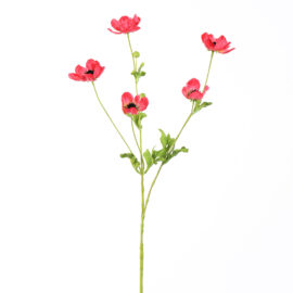 Anémone rouge H 81cm