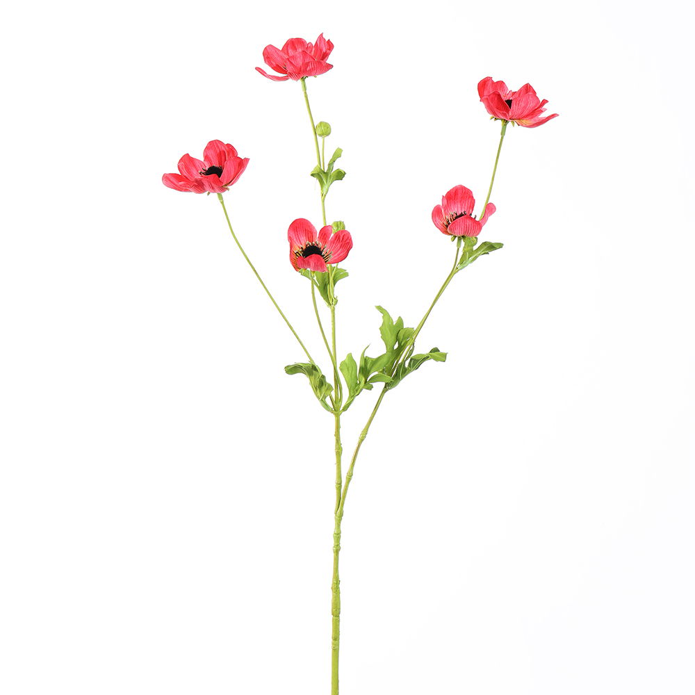 Anémone rouge H 81cm Anémone rouge H 81cm