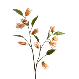 Gloriosa orange H 108cm
