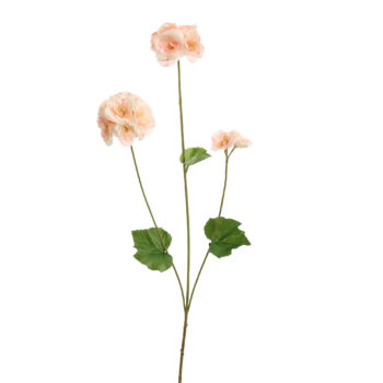 Géranium rose H 75cm