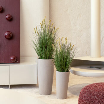 Graminée Cattail Curly H 76cm/ H 93cm / H 120cm
