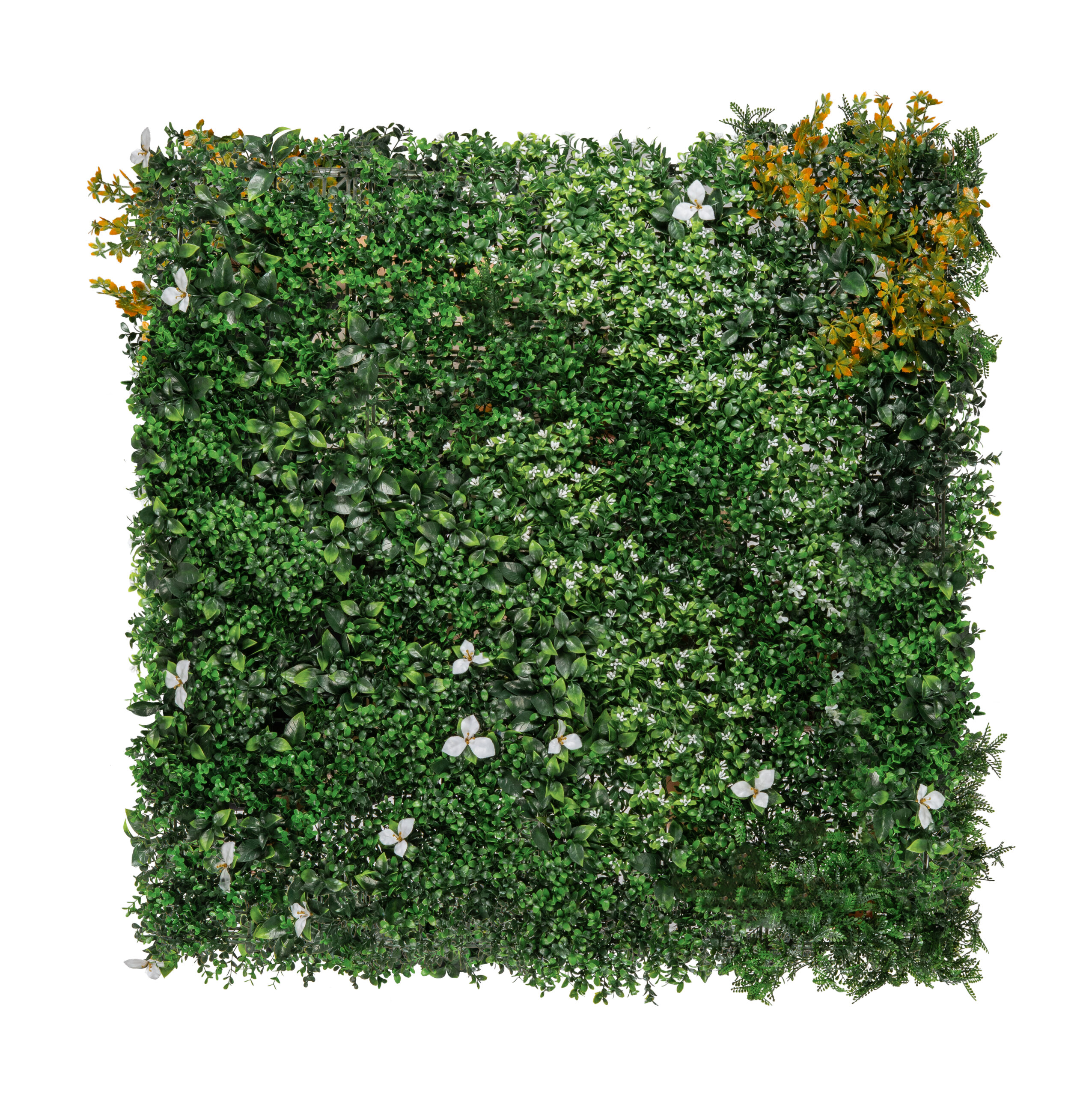 Mur vegetal en buis & fleurs 100*100cm UV Resistant Mur vegetal en buis & fleurs 100*100cm UV Resistant