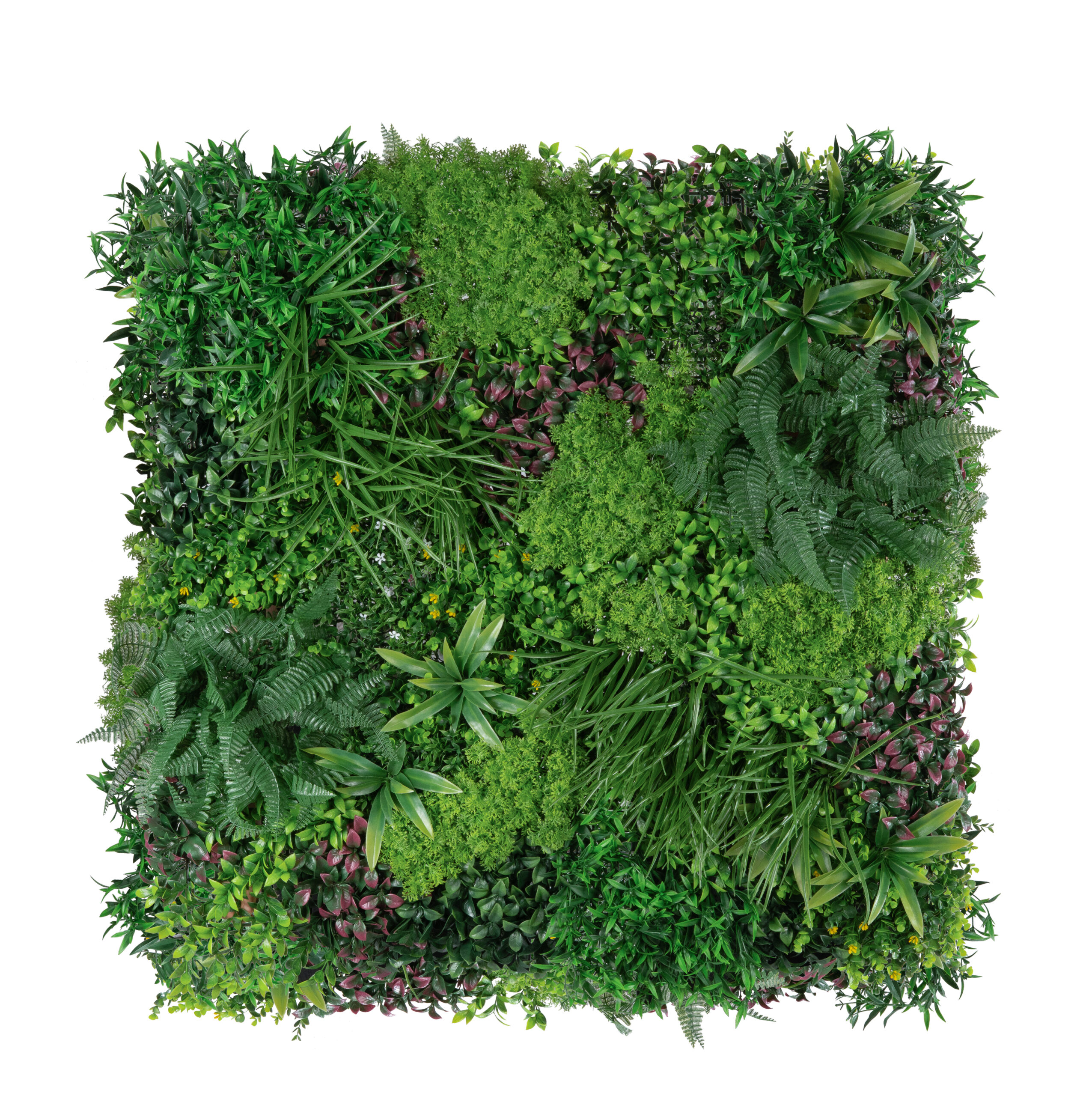 Mur végétal mousse et fougère3D dense 100*100cm UV resistant Mur végétal mousse et fougère 3D dense 100*100cm UV resistant
