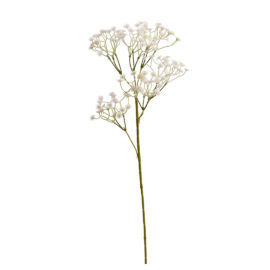 Gypsophile H 65cm