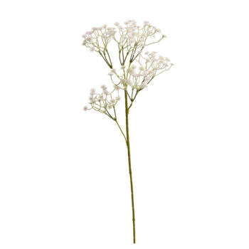 Gypsophile H 65cm