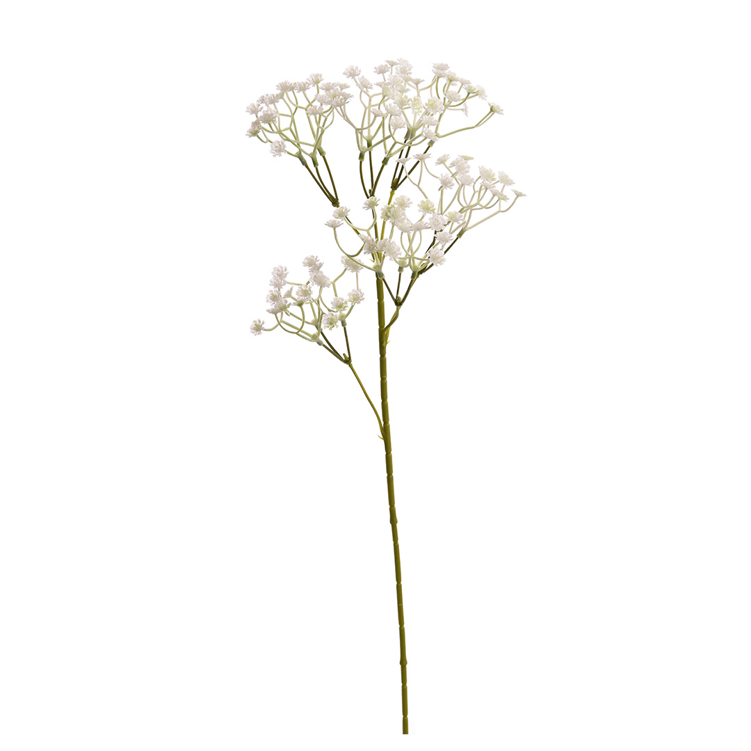Gypsophile H 65cm Gypsophile H 65cm
