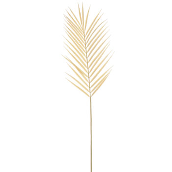 branche de palmier beige H 81CM