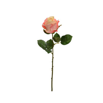 Rose corail H 56cm