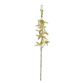 Orchidée verte H 80cm