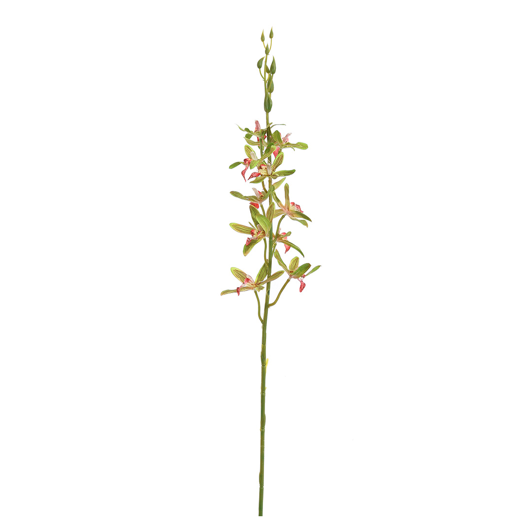Orchidée verte H 80cm Orchidée verte H 80cm