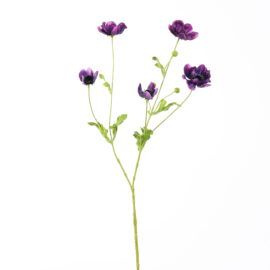 Anémone mauve H 81cm