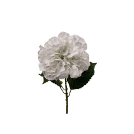 haydrangea blanche H 53cm