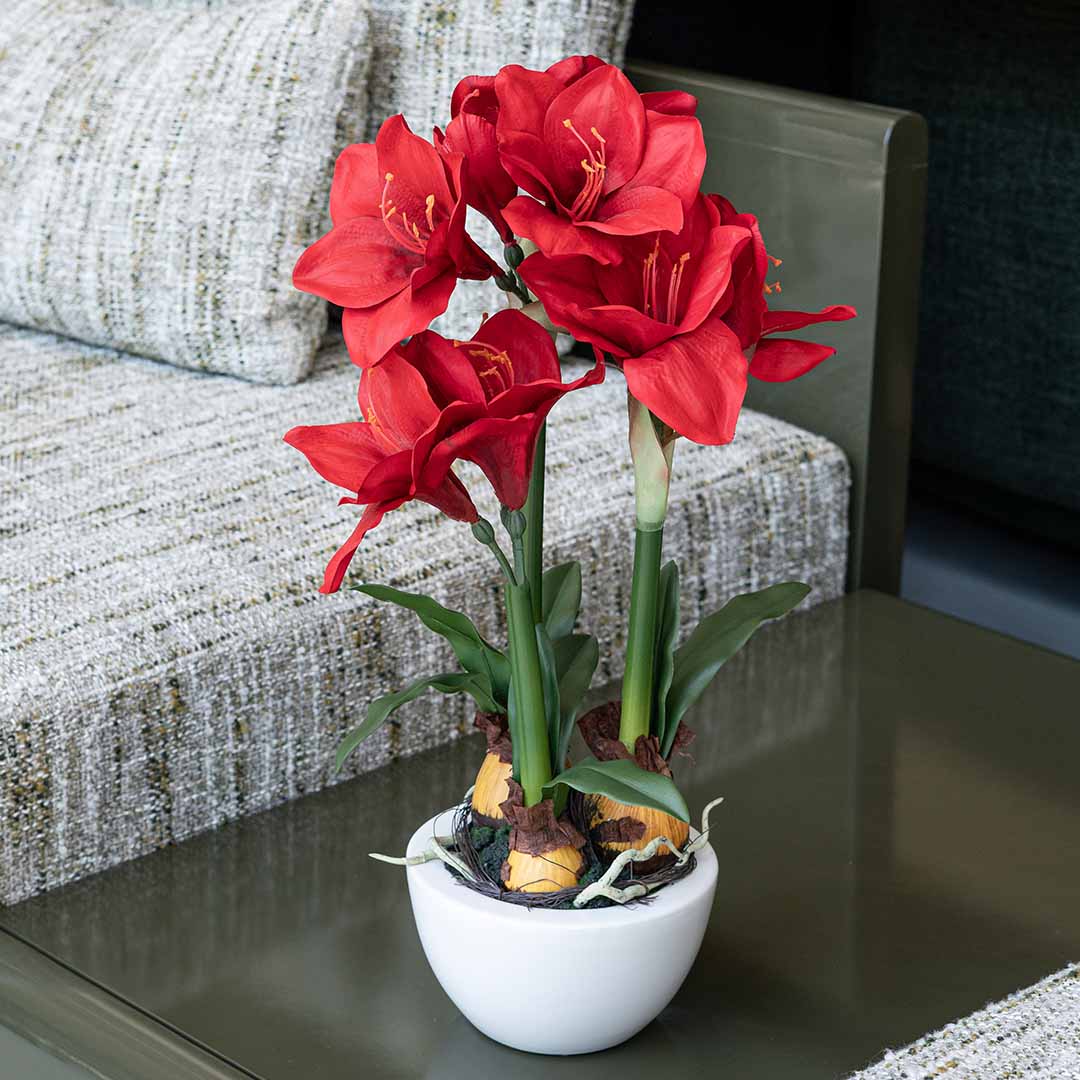 Amaryllis rouge à 3 hampes H 54cm Amaryllis rouge à 3 hampes H 54cm