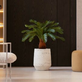 Cycas revoluta H 90cm plante artificielle