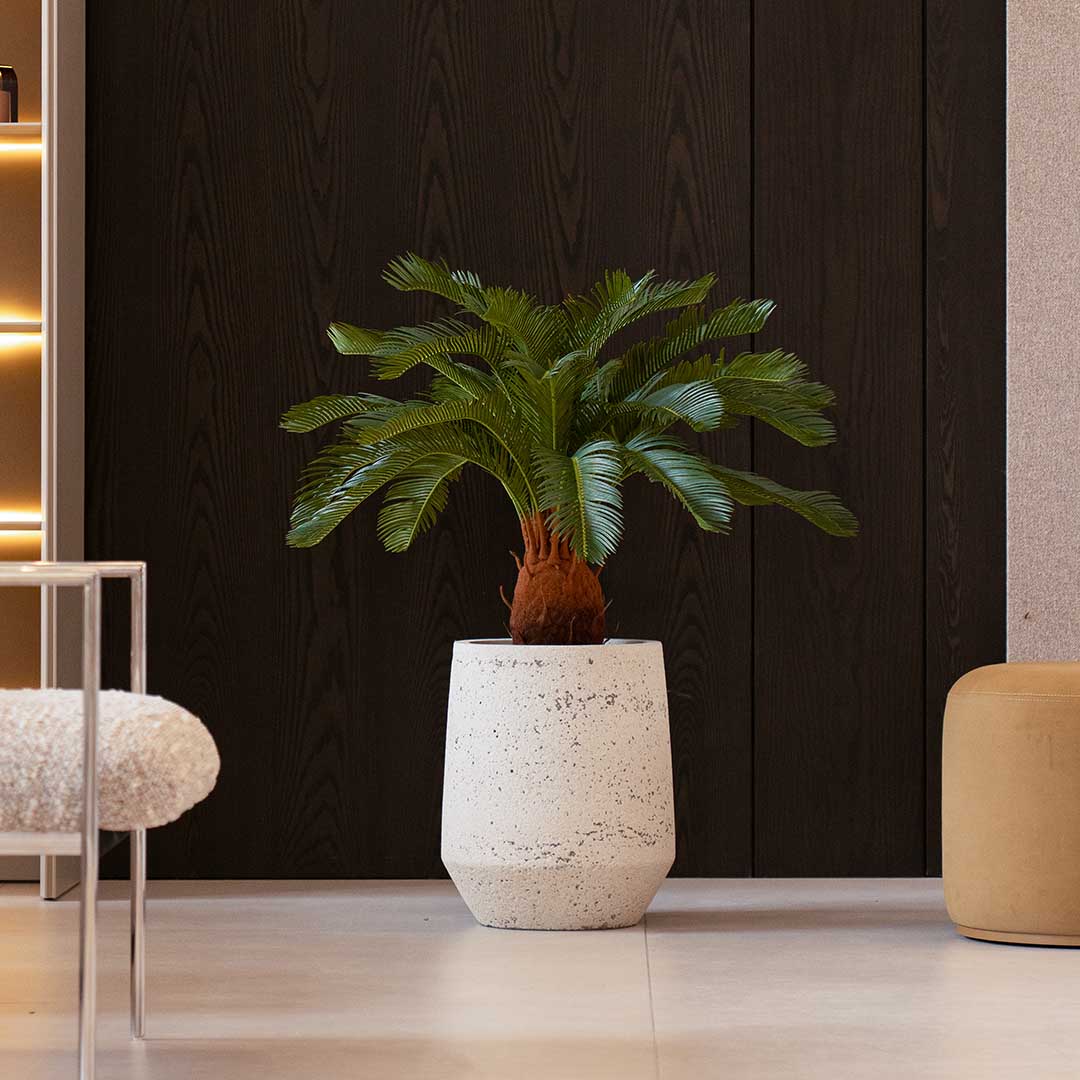 Cycas revoluta H 90cm plante artificielle Cycas revoluta H 90cm plante artificielle