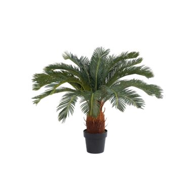 Cycas revoluta H 90cm plante artificielle