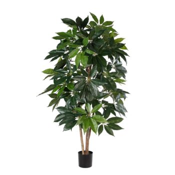 Schefflera Amata H 180cm plante artificielle , plante d'intérieur