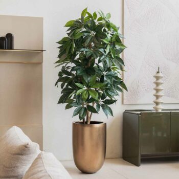 Schefflera Amata H 180cm plante artificielle , plante d'intérieur