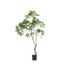 Pachira dense H 180cm plante artificielle