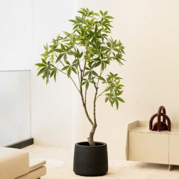 Pachira dense H 180cm plante artificielle