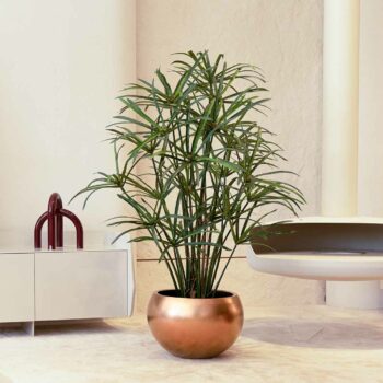 Papyrus H 120cm plante artificielle