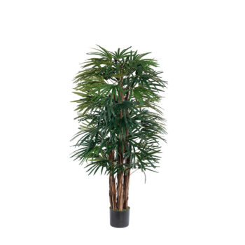 Raphis Palm H 180cm plante artificielle